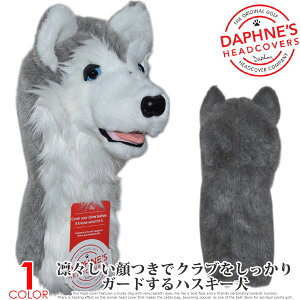 _tBj[Y DAPHNES wbhJo[ Aj}wbhJo[ nXL[ hCo[p wbhJo[ USAA yΉ