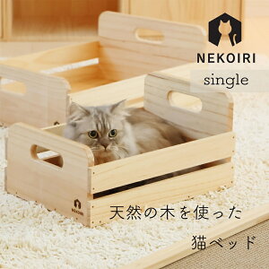 ؐ lRxbh VOTCY 1Cp NEKOIRI VR ^ ˂pxbh LbgnEX Lbgxbh ^lR Eldグ  Q ybgƋ CeA  킢 ybg