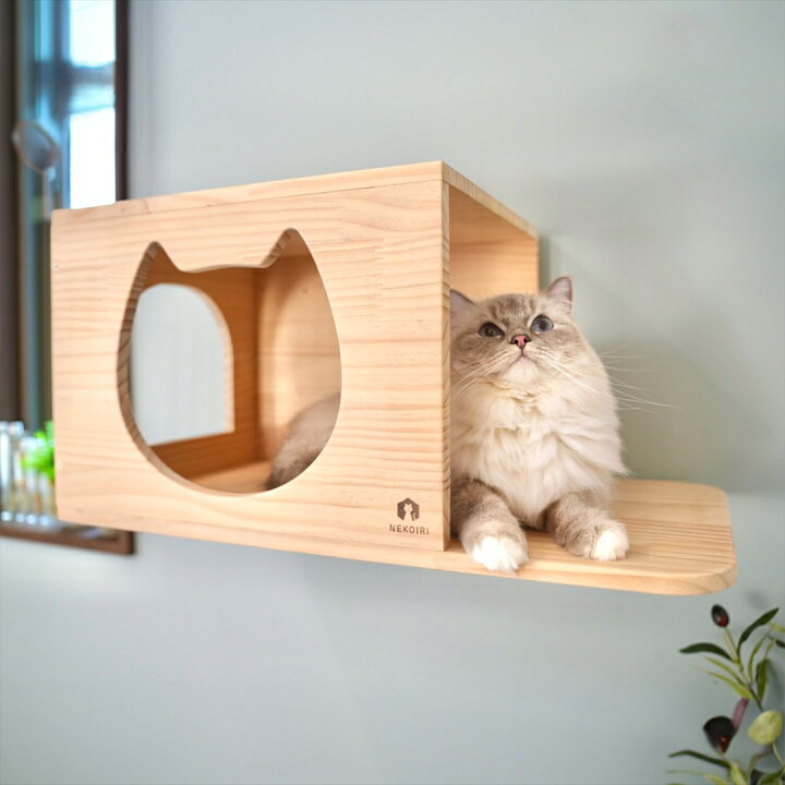 楽天市場】壁掛け キャットステップ 猫顔ハウス 木製 穴あけ不要 完成 