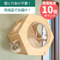 壁掛け キャットステップ 六角ヘキサゴン 穴あけ不要 完成品 NEKOIRI 耐荷重30kg キャットウォーク キャ…