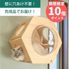 壁掛け キャットステップ 六角ヘキサゴン 穴あけ不要 完成品 NEKOIRI 耐荷重30kg キャットウォーク キャットハウス キャットタワー ネコベッド 大型ネコ 木製 アクリル 取付簡単 工具不要 ネジ穴不要 賃貸OK 職人手仕上げ 石膏ボード DIY インテリア かわいい