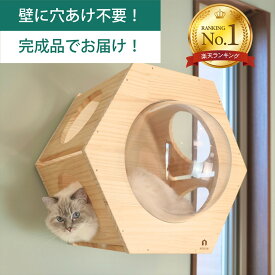 壁掛け キャットステップ 六角ヘキサゴン 穴あけ不要 完成品 NEKOIRI 耐荷重30kg キャットウォーク キャットハウス キャットタワー ネコベッド 大型ネコ 木製 アクリル 取付簡単 工具不要 ネジ穴不要 賃貸OK 職人手仕上げ 石膏ボード DIY インテリア かわいい