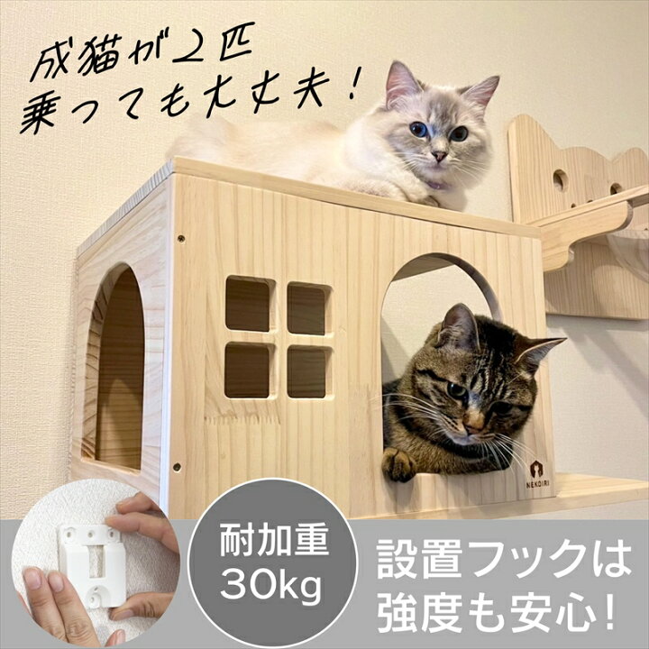 楽天市場】壁掛け キャットステップ 六角ヘキサゴン 穴あけ不要 完成品 
