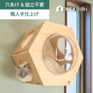 壁掛け ヘキサゴンハウス キャットウォーク キャットステップ 賃貸OK 穴あけ不要 壁を傷つけない NEKOIRI…