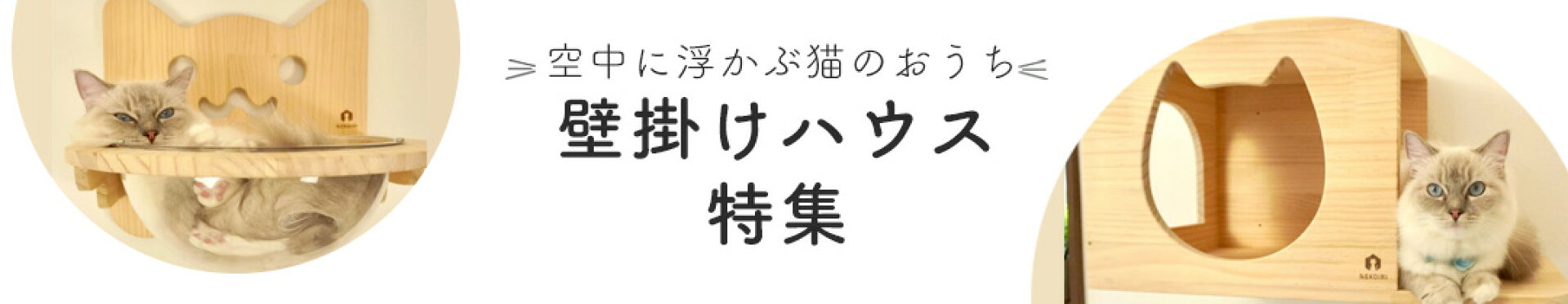 キャットハウス