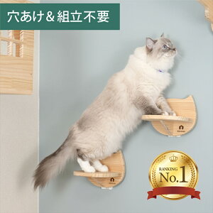 Ǌ| LbgXebv L 2Zbg ؐ sv i NEKOIRI ω׏d20kg LbgEH[N LbgnEX Lbg^[ Ki ^lR tȒP Hsv lWsv OK E