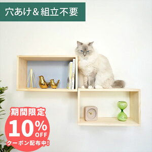 Ǌ| LbgXebv VFtXebv ؐ sv i NEKOIRI ω׏d20kg LbgEH[N LbgnEX Lbg^[ Ki ^lR tȒP Hsv lWsv OK 