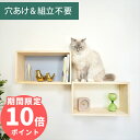 壁掛け シェルフステップ キャットステップ キャットウォーク 賃貸OK 穴あけ不要 壁を傷つけない NEKOIRI ネジ穴不要 …