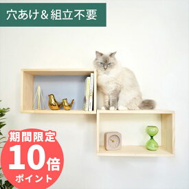 壁掛け キャットステップ シェルフステップ 木製 穴あけ不要 完成品 NEKOIRI 耐荷重20kg キャットウォーク キャットハウス キャットタワー 階段 大型ネコ 取付簡単 工具不要 ネジ穴不要 賃貸OK 職人手仕上げ ストレス解消 運動不足 石膏ボード DIY インテリア かわいい