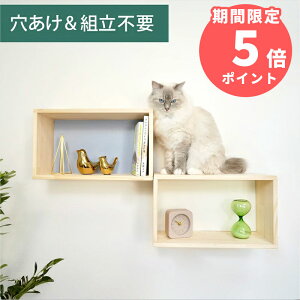 Ǌ| LbgXebv VFtXebv ؐ sv i NEKOIRI ω׏d20kg LbgEH[N LbgnEX Lbg^[ Ki ^lR tȒP Hsv lWsv OK 