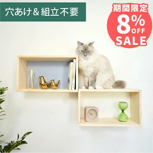 Ǌ| LbgXebv VFtXebv ؐ sv i NEKOIRI ω׏d20kg LbgEH[N LbgnEX Lbg^[ Ki ^lR tȒP Hsv lWsv OK 