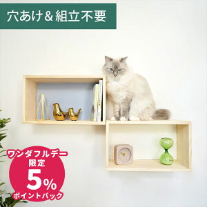 Ǌ| LbgXebv VFtXebv ؐ sv i NEKOIRI ω׏d20kg LbgEH[N LbgnEX Lbg^[ Ki ^lR tȒP Hsv lWsv OK 