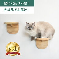 壁掛け 木製キャットステップ ウッドステップ 2個セット/3個セット 穴あけ不要 完成品 NEKOIRI 耐荷重20k…