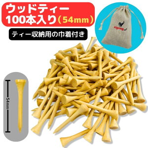 St@X^_[heB[@54mm@vŐ܂ɂ|@eʂ @100{ p eB[ۊǗpВ̓Tt@hCo[ ̃eB[VbgɍœKI@@Ryii@[