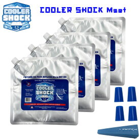 保冷剤 4個セット COOLER SHOCK クーラーショック Mサイズ キャンプ アウトドア クーラーボックス ランチボックス 春夏 秋冬