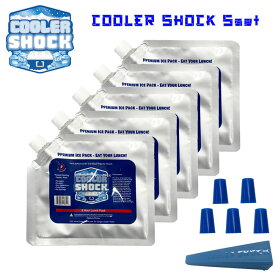 保冷剤 5個セット COOLER SHOCK クーラーショック Sサイズ キャンプ アウトドア クーラーボックス ランチボックス 春夏 秋冬