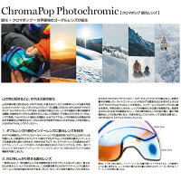 ゴーグルスミスSMITH4DMAG/WHITEVAPOR/CHROMAPOPLENSJAPANFIT19-20アジアンフィットスノーボードスキー【店頭受取対応商品】
