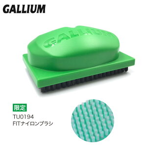�`���[���i�b�v GALLIUM �K���E�� FIT�i�C�����u���V TU0194 �X�m�[�{�[�h �X�L�[���b�N�X �~