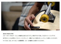 キャリーバッグリュックWheelOfLifeDECKCARRYS機内持ち込み可