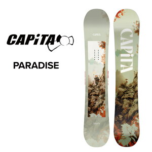 �\�� �L���s�^ CAPITA �p���_�C�X PARADISE ���f�B�[�X 26-27 �X�m�[�{�[�h �I�[�����E���h �f�B���N�V���i���c�C�� ���K�i
