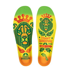 C\[ REMIND INSOLE Destin IMPACT Tommy Sandoval Lion XP[g SK8 V[Y@Xm[{[h u[c ~ t H~