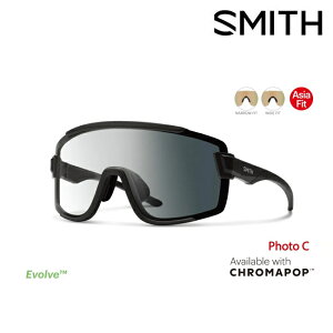 �T���O���X �X�~�X SMITH Wildcat Matte Black / CP Photo C to Gray ASIA FIT ���� ���C���h�L���b�g �X�|�[�c�T���O���X �}�E���e���o�C�N �g���b�L���O