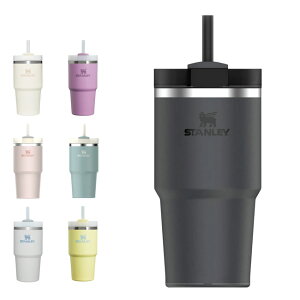 X^[ H2.0 ^XNG`[0.6L STANLEY Xg[t }O ^u[  Lv AEghA t