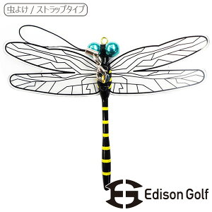 TP3{y11/22(y)-24()z EDISON GOLFiGW\Stj ɂ܌N Xgbv^Cv ΍ 悯 悯 h Eh StANZT[
