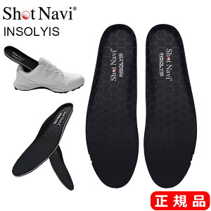 Shot Navi Vbgir INSOLYIS C\CY zv ̏dړ