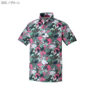 5̂P5{y11/15(y)zyyjz lbNX YVc GWS1176