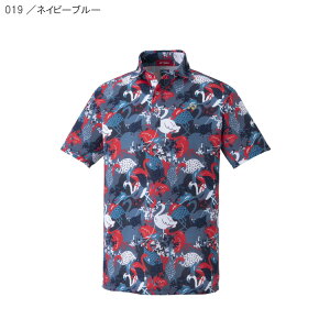 TP3{y11/22(y)-24()zyyjz lbNX YVc GWS1176