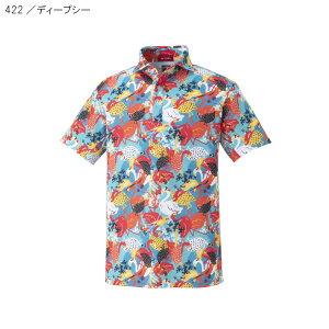 }\XgP5{y11/11()1:59܂Łzyyjz lbNX YVc GWS1176