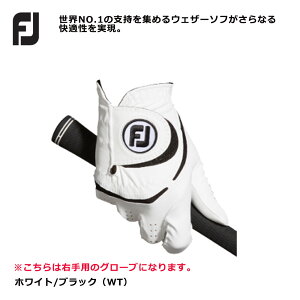 yEpz tbgWC FJ EFU[\t Y St O[u WeatherSof23 FGWF3LH 2023Nf