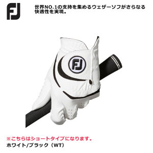 tbgWC FJ EFU[\t wV[g Y St O[u WeatherSof23 FGWF3STWT 2023Nf