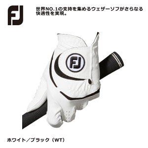 ylR|XIz tbgWC FJ EFU[\t Y St O[u WeatherSof23 FGWF23 2023Nf [3g]