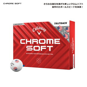 yyjzyUSfz LEFC N\tgUSA gD[gbN St {[ 1_[X [12] CHROME SOFT USA