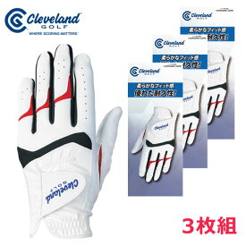 週末限定P5倍【7/19(土)-20(日)】【土日祝も発送】【ネコポス送料無料】【3枚組】 ダンロップ ゴルフ グローブ (手袋) メンズ 片手用 クリーブランド GGG-C002