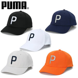 yyjz [v[}] StLbv St jbgP|CAP Y 026695 2025Nf