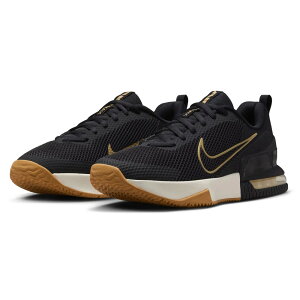 TP3{y11/22(y)-24()zyyjz iCL {Ki 2025HO Y AIR MAX ALPHA TRAINER 6 GA}bNX At@g[i[ 6 ubN/pV[gx[W/ZC/KCgu