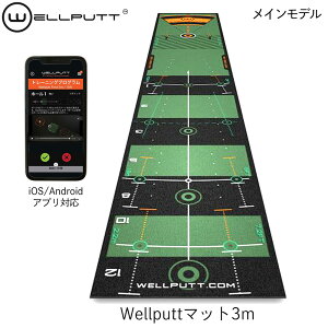 3m 練習器具 ゴルフ ウェルパットパターマットの人気商品・通販・価格 