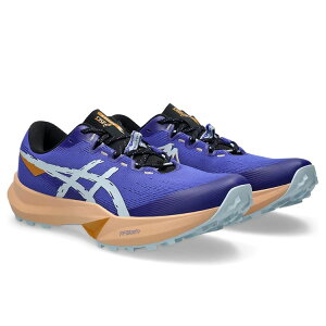 �y�y���j�������z �A�V�b�N�X�@�����j���O�V���[�Y asics �t�W���C�g Fuji Lite 6 �����Y �����j���O�V���[�Y �X�^���_�[�h 1011C086 400