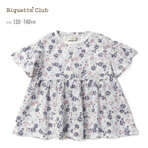 tVc rPbgNu 10101 ԕEGXgؑTVc q LbY qǂ ̎q gbvX Jbg\[     Vv ԕ  vg ct ۈ牀 ʉ ʊw 120 1