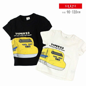 tVc GXP[v 21333001 hN^[CG[TVc LbY 100 ڐG⊴ 90cm 100cm 110cm 120cm SKAPE