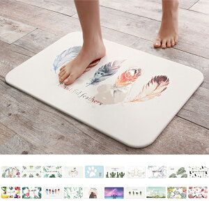 珪藻土 バスマット 柄の人気商品 通販 価格比較 価格 Com