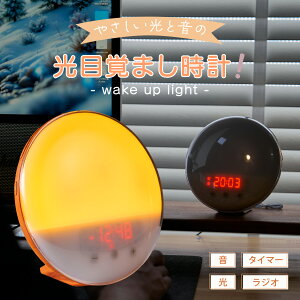 y124`j[AIz ڊo܂v fW^ uv  Cg V NX}X v[g pI q l iCgCg ڊo܂v  L  ^ Q 