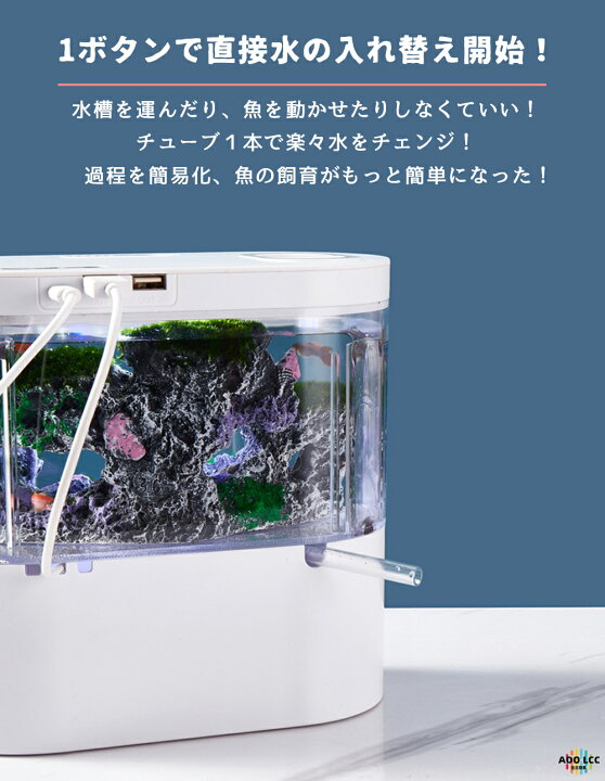 楽天市場】【一年間保証】LEDライトフィルターポンプ付き水槽セット 
