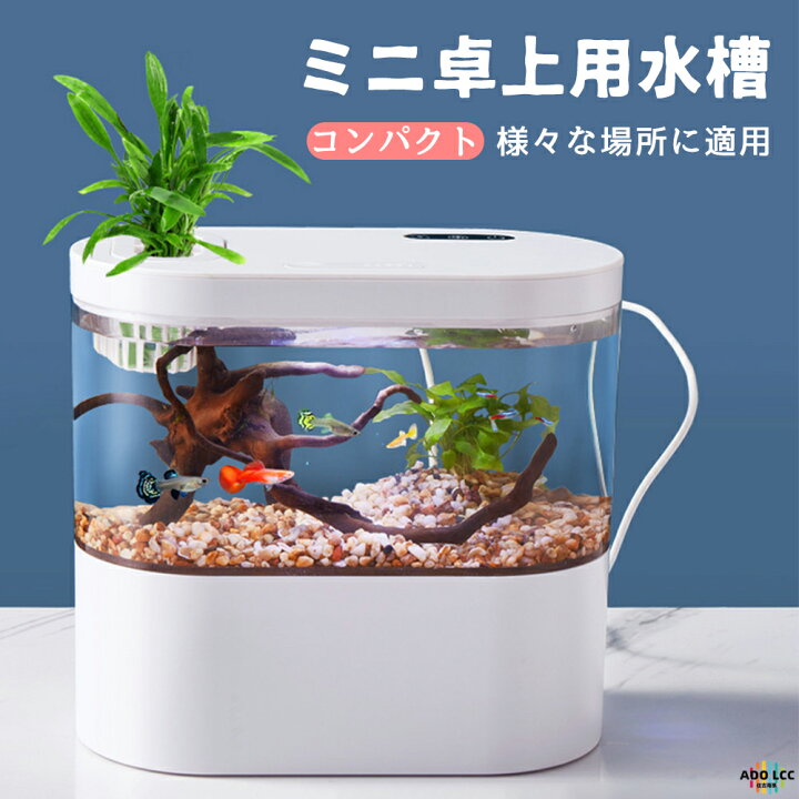 楽天市場】【一年間保証】LEDライトフィルターポンプ付き水槽セット  