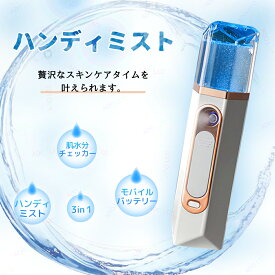 ハンディミスト 美顔器 スチーマー ミニ加湿器 スチーマー 小型 携帯 フェイススチーマー ミニスチーマー 保湿 補水 スキンケア フェイス スキンケア 乾燥 潤い うるおい スキンチェッカー 肌チェッカー 肌チェッカー 水分チェッカー 水分量 油分量 測定 チェック