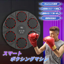 パンチング マシン 音楽再生 家庭用 ダイエット パンチングマシン ミュージック ボクシングマシン パンチングマシーン ライト Bluetooth トレーニング ストレス解消 発散 室内 練習用具 子供 男性 女性 ボクシング フィットネス エクササイズ