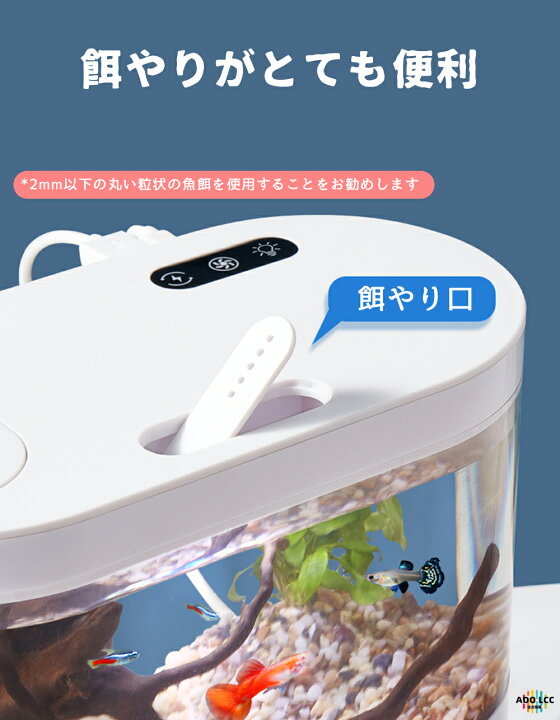 楽天市場】【一年間保証】LEDライトフィルターポンプ付き水槽セット 